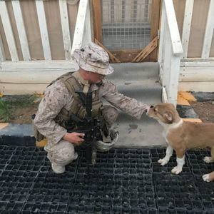 Meet your Posher, Dylan